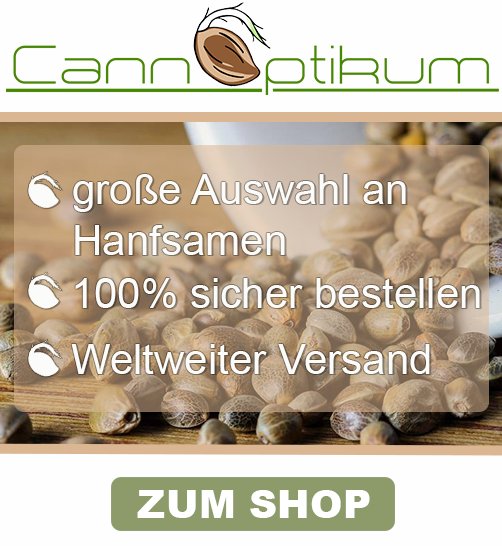 Hanf-Samen bei Cannoptikum – große Auswahl, sicher bestellen, weltweiter Versand